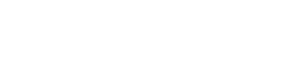 Froelich Engineering Solutions
